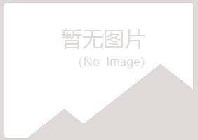 宁夏梦岚化学有限公司